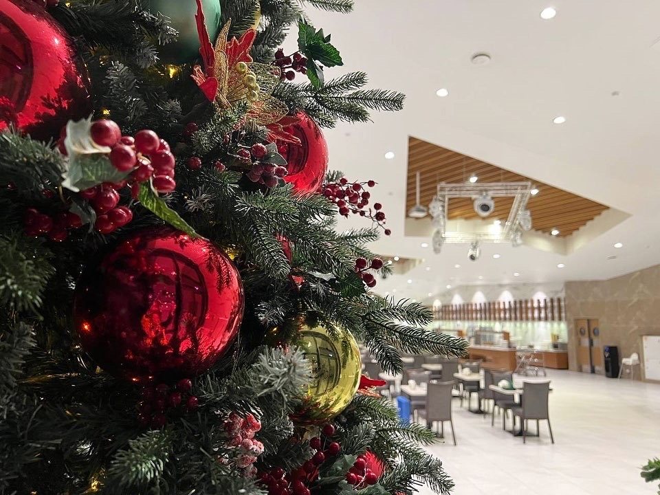 Новый год в LES Art Resort