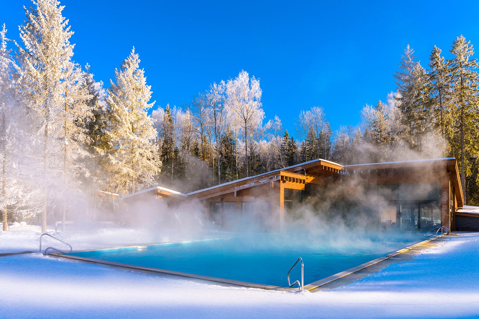 Новый год в LES Art Resort