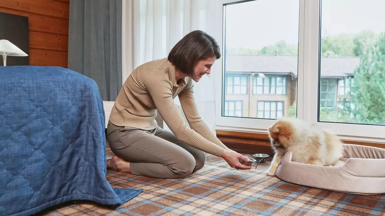 Pet Классик сьют — интерьер